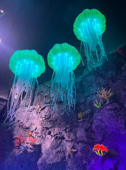 Jellyfish display glowing in blue light inside SEA LIFE COEX Aquarium in Seoul.