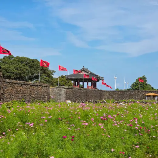 Traditional stone wall and pavilion at Seongeup Folk Village with a wildflower field in Jeju, Korea