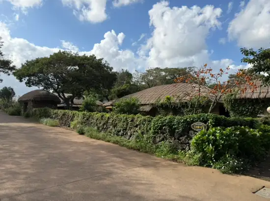Traditional thatched roof houses behind a vine-covered stone wall at Seongeup Folk Village in Jeju, Korea