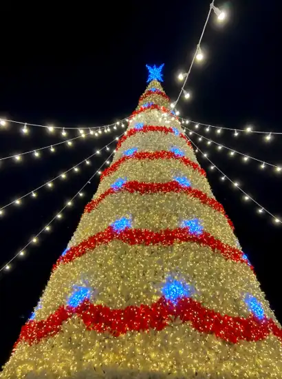 Illuminated Christmas tree display at the 2025-2026 Seoul Winter Festa, decorated with red, white, and blue lights at night.