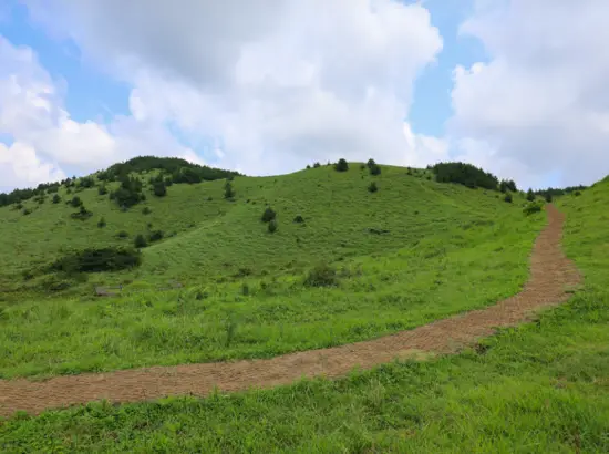 Green hiking trail leading up Yongnuni Oreum under partly cloudy skies in Jeju.