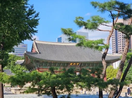 Jungmyeongjeon Hall at Deoksugung Palace framed by pine trees, with Seoul buildings in the background under a clear sky