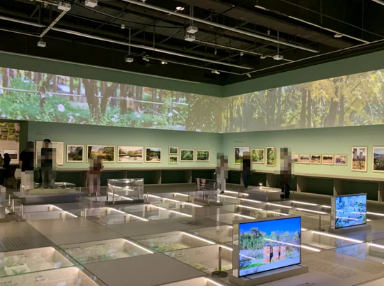Visitors viewing artworks inside a museum exhibition gallery with large projected visuals and display cases