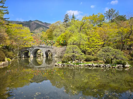 Stone bridge over a calm pond with spring trees and mountain views in Gyeongju