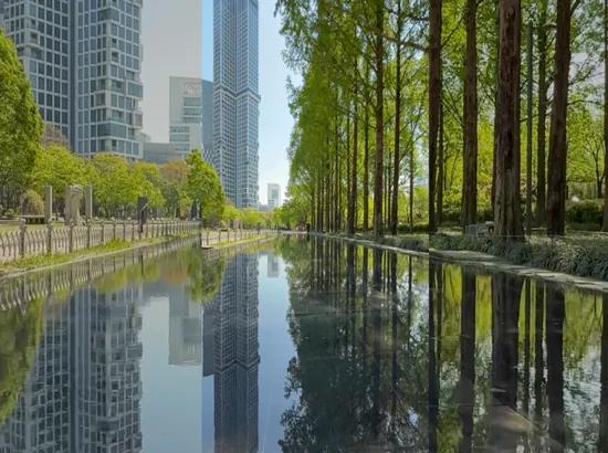 Seoul Forest view for things to do in Seongsu with trees, water, and city buildings