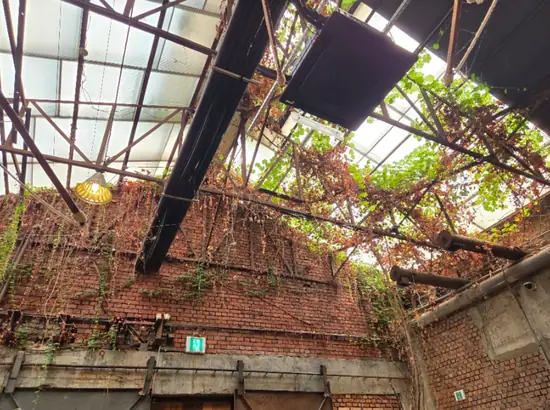 Interior view of Daelim Changgo, a popular Seongsu Station dessert cafe with a warehouse-style brick ceiling and hanging vines