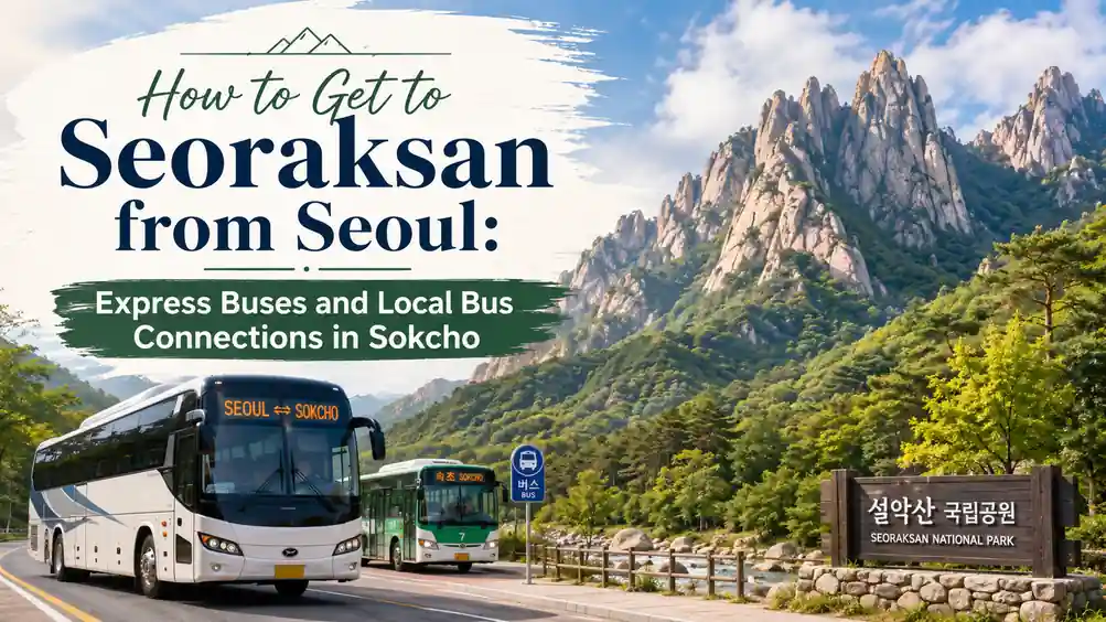 How to get to Seoraksan from Seoul by express bus and local bus in Sokcho