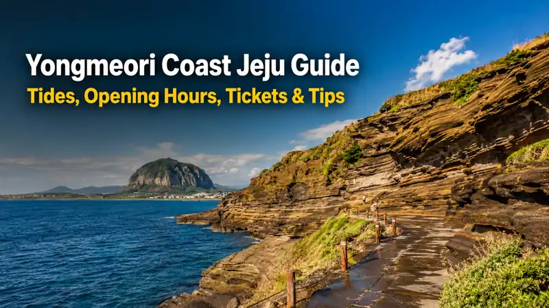 Layered volcanic cliffs and the oceanfront walking trail at Yongmeori Coast Jeju